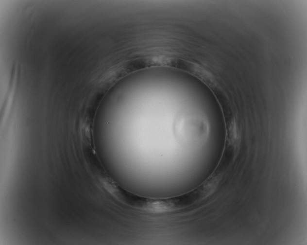 X0000086020522200703301035