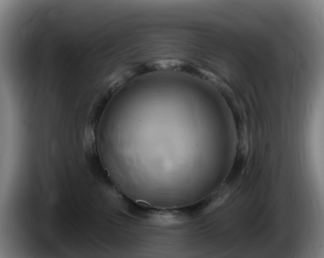 X0000086020523200703301035