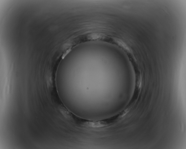 X0000086020524200703301035