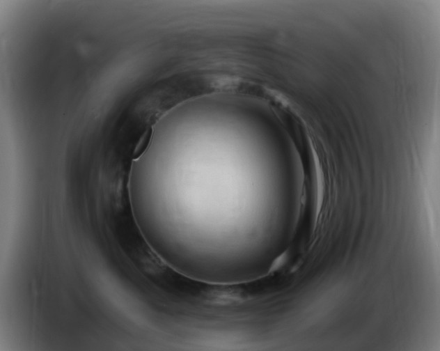 X0000086020525200703301035