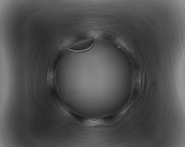 X0000086020526200703301035