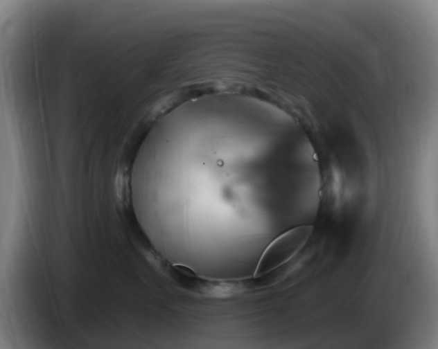 X0000086020527200703301035