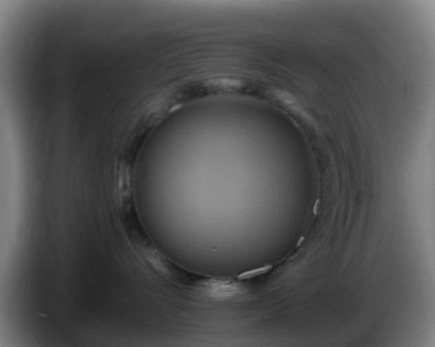 X0000086020528200703301035