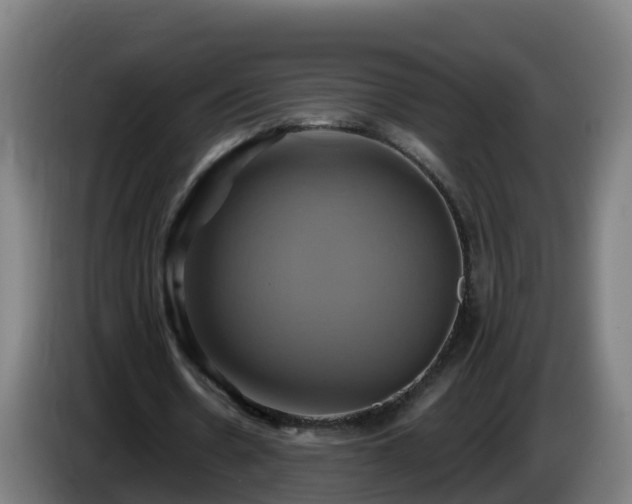 X0000086020530200703301034