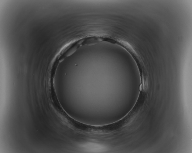 X0000086020531200703301034