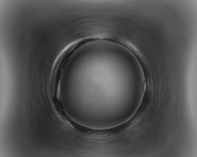 X0000086020532200703301034