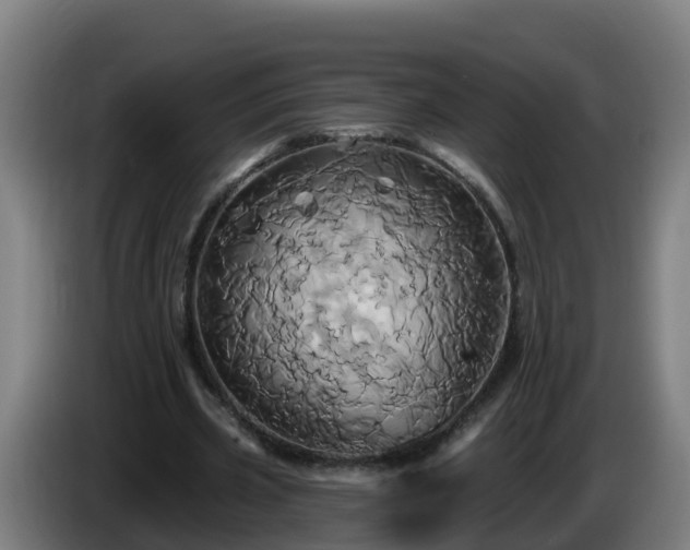 X0000086020533200703301034