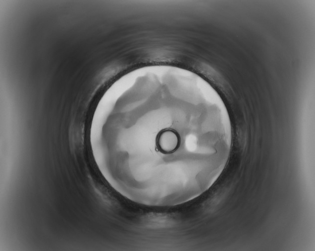 X0000086020534200703301034