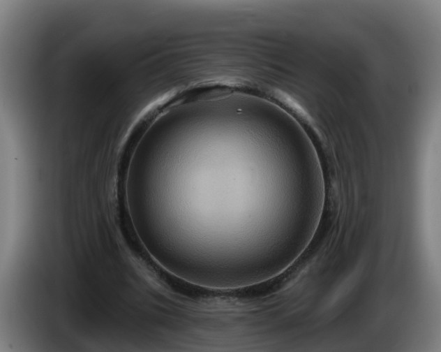 X0000086020535200703301034