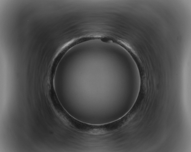 X0000086020536200703301034