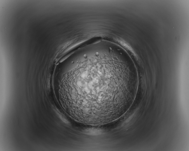 X0000086020537200703301034