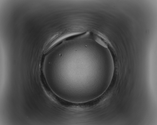 X0000086020538200703301034