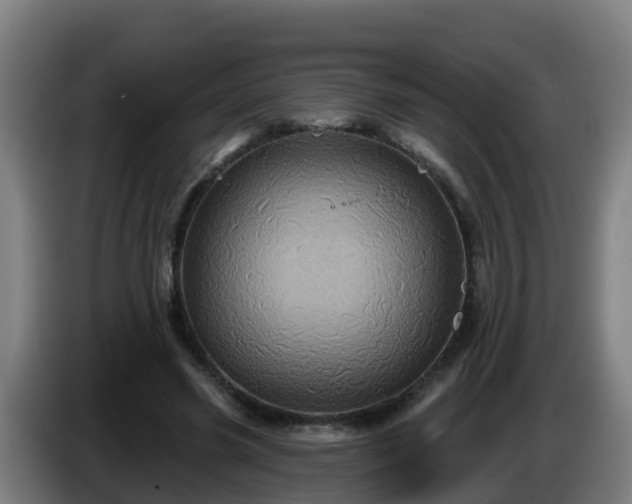 X0000086020541200703301034