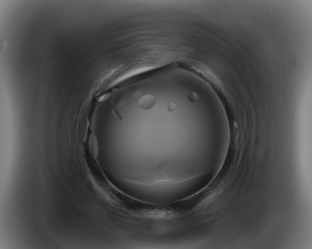 X0000086020542200703301034