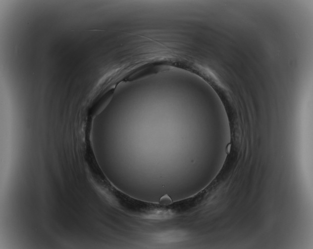 X0000086020543200703301034