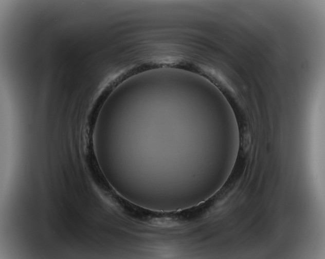 X0000086020544200703301034
