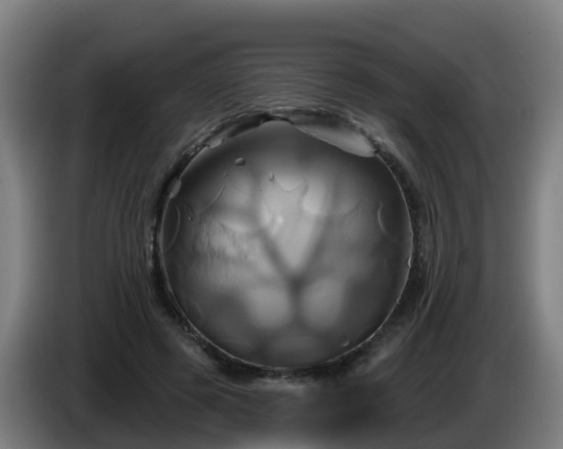 X0000086020545200703301034