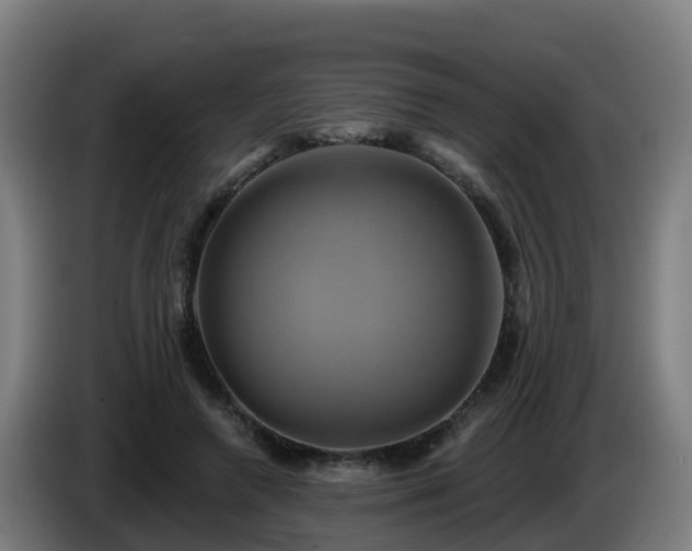 X0000086020546200703301034