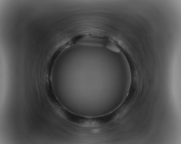 X0000086020547200703301034