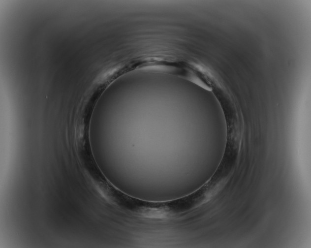 X0000086020548200703301034