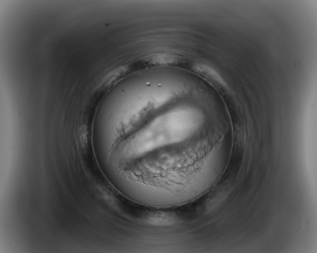 X0000086020549200703301034