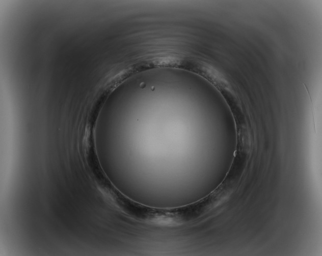 X0000086020550200703301034