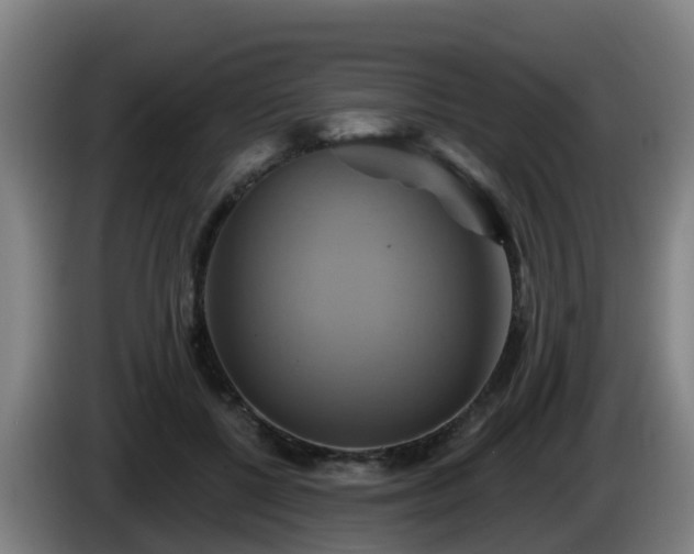 X0000086020552200703301034