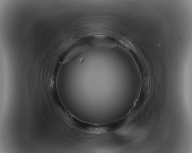 X0000086020553200703301034