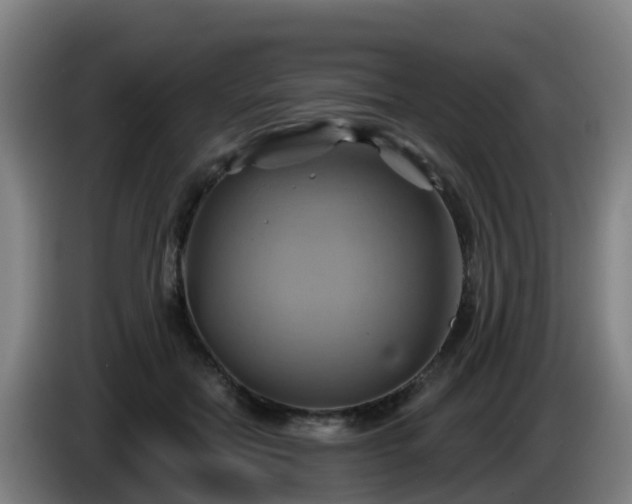 X0000086020554200703301034