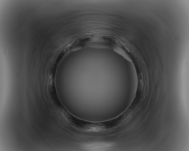 X0000086020555200703301035