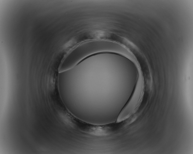 X0000086020558200703301035