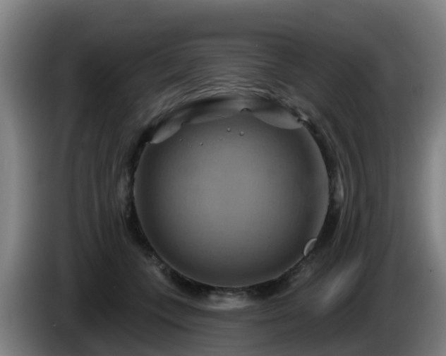 X0000086020559200703301035