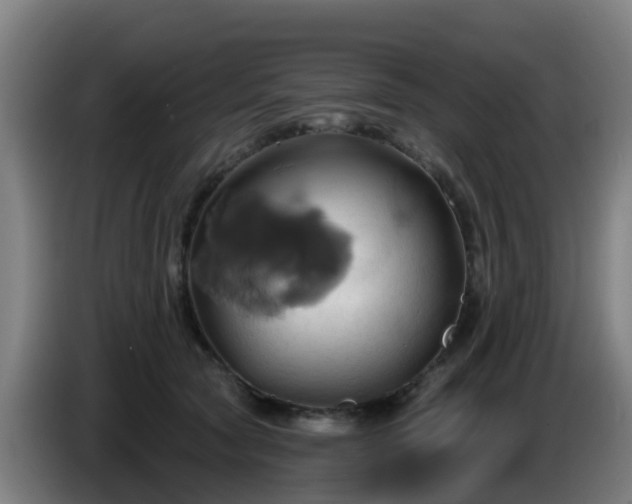X0000086020561200703301035