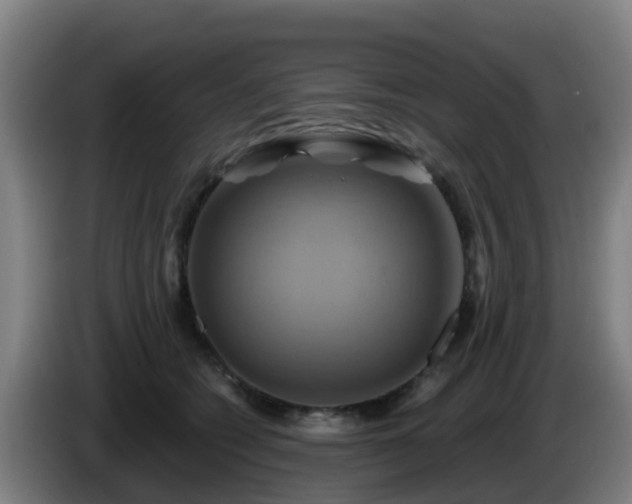 X0000086020562200703301035