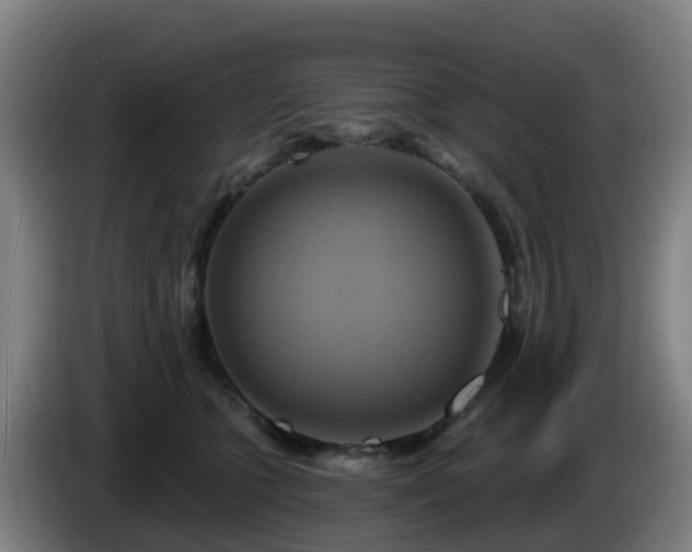 X0000086020563200703301035