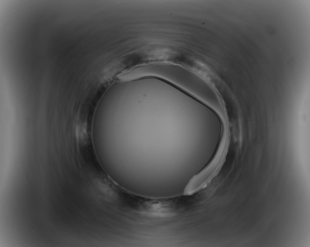 X0000086020564200703301035
