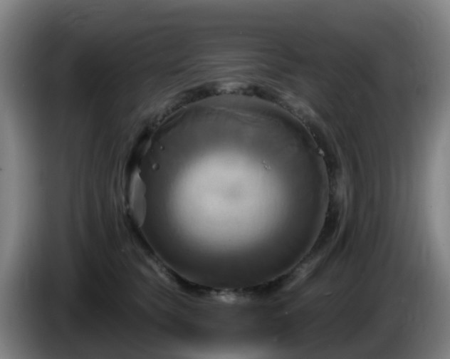 X0000086020565200703301035