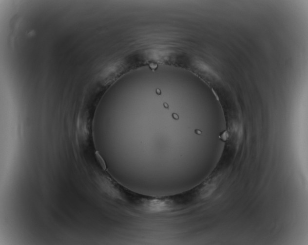 X0000086020566200703301035