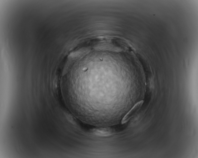 X0000086020567200703301035