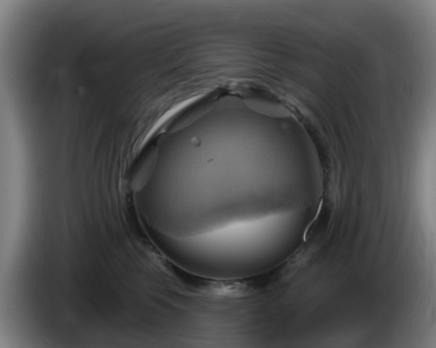 X0000086020569200703301035