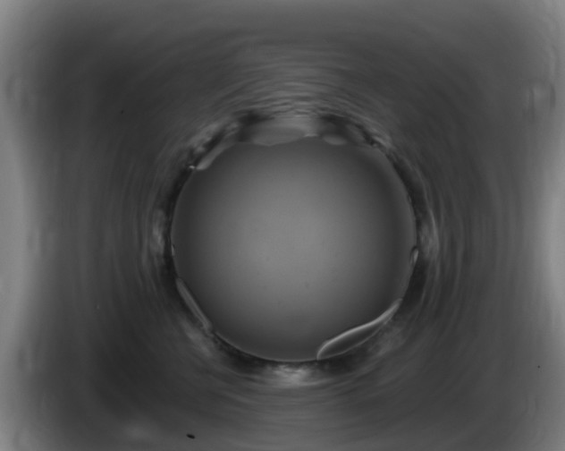 X0000086020570200703301035