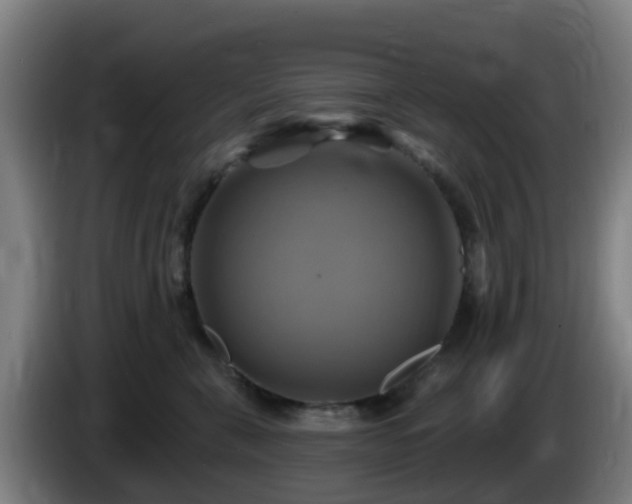X0000086020571200703301035