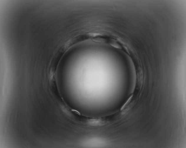 X0000086020574200703301035