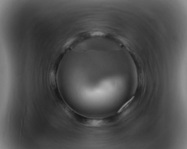 X0000086020575200703301035