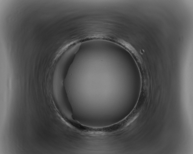 X0000086020577200703301034