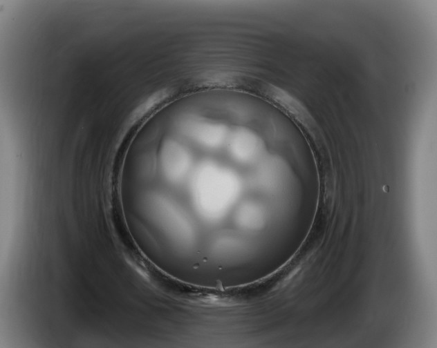 X0000086020578200703301034