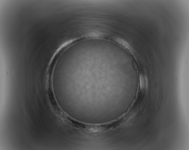 X0000086020579200703301034