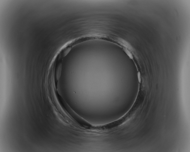 X0000086020580200703301034
