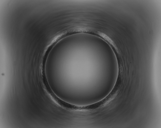 X0000086020581200703301034