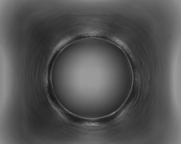X0000086020582200703301034